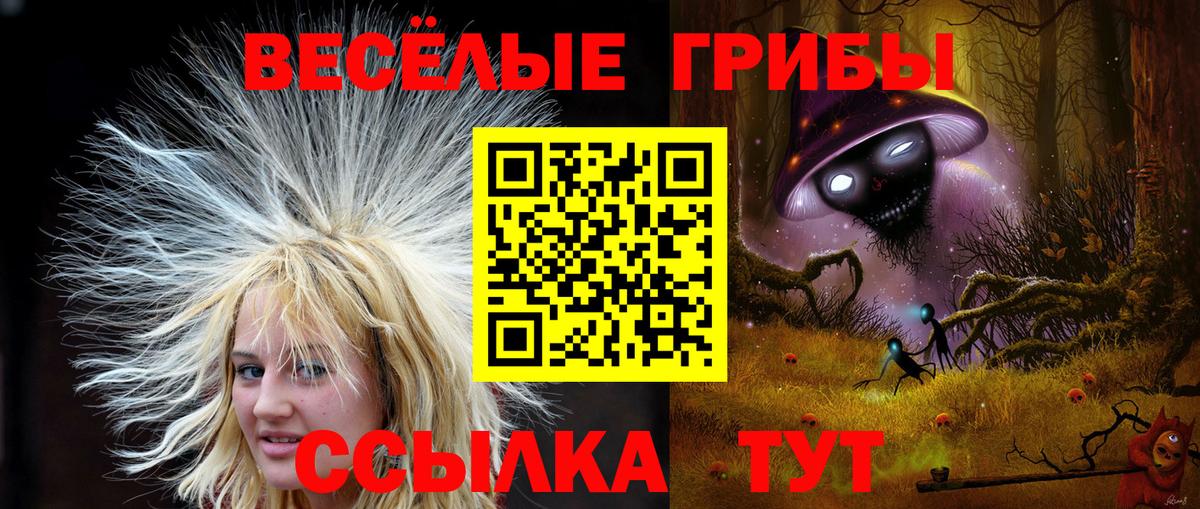 Избербаш  купить наркоту  Вход с VPN  Галлюциногенные грибы MAGIC MUSHROOMS 
